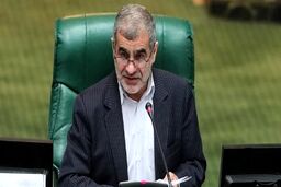 پاسخ نیکزاد به نطق یک نماینده درباره وظایف دولت آینده