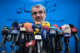 کدخدایی: شورای نگهبان موافق همه‌پرسی است