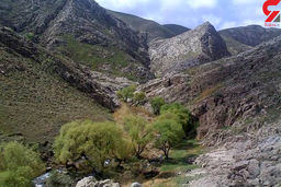 قتل مادر به خاطر ازدواج مجدد/ 2 پسر خراسانی جنازه را هم سوزاندند