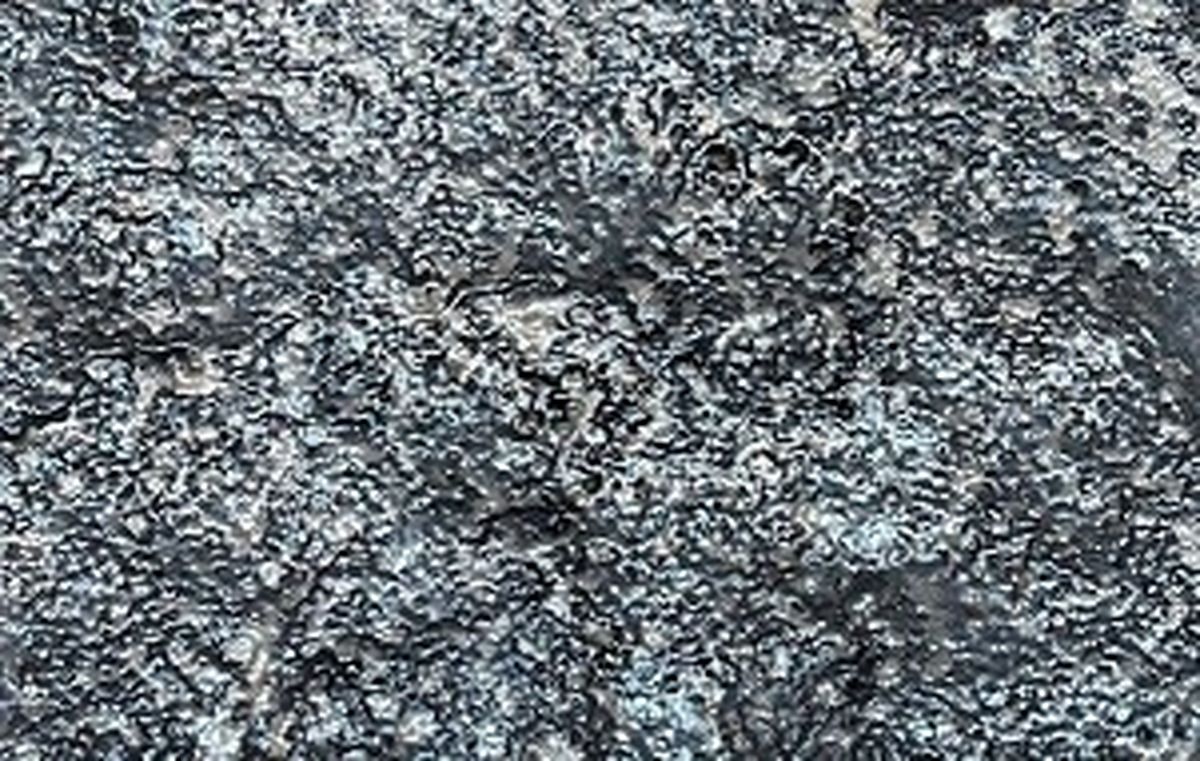 کسب مدال نقره مسابقات جهانی ژنو سوئیس توسط مخترع ایرانی در سال ۲۰۲۳