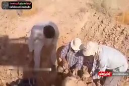 پیدا شدن پیکر مطهر یک شهید با پاهای بسته در فکه