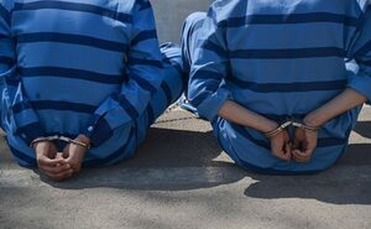 سارقان دوقلوی نارمک دستگیر شدند