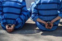 سارقان دوقلوی نارمک دستگیر شدند