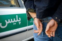 بازداشت ۲ متهم اصلی پرونده تخلف میلیاردی تعاونی مسکن در باقرشهر
