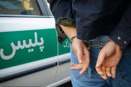 بازداشت ۲ متهم اصلی پرونده تخلف میلیاردی تعاونی مسکن در باقرشهر