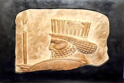 سرباز هخامنشی از نیویورک باز می گردد