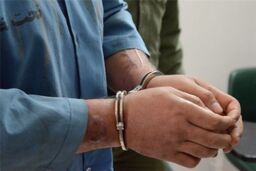 شرور شاهرود دستگیر شد