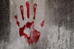 مادر جوان به دست فرزند ۲ ساله اش کشته شد!