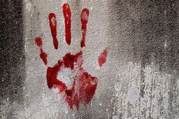مادر جوان به دست فرزند ۲ ساله اش کشته شد!