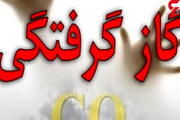 مرگ هم زمان 4 نفر از اعضای یک خانواده اردبیلی/ قاتل خاموش جانشان را گرفت