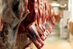 گوشت قسطی با کارت ملی!