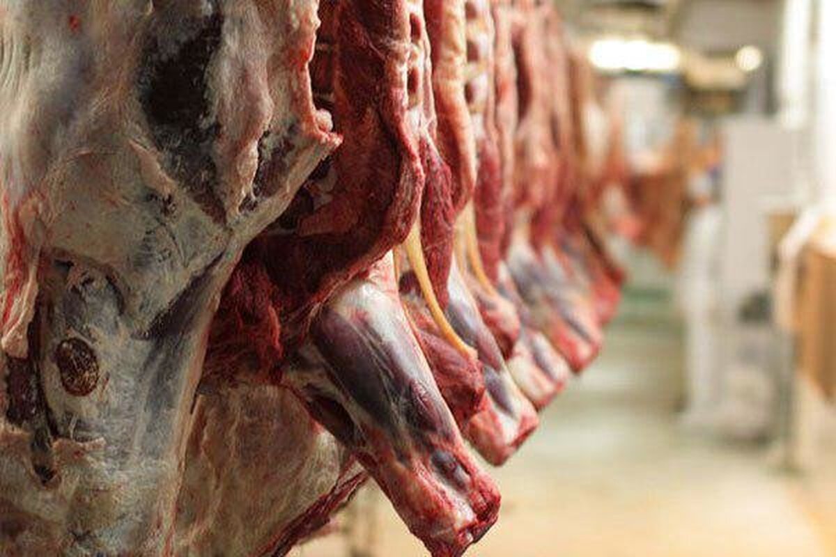 گوشت قسطی با کارت ملی!