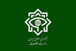 وزارت اطلاعات بیانیه داد + متن کامل