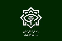 وزارت اطلاعات بیانیه داد + متن کامل