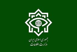 وزارت اطلاعات بیانیه داد + متن کامل