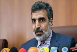 خبر مهم سخنگوی سازمان انرژی اتمی از مذاکره با آژانس
