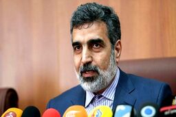 خبر مهم سخنگوی سازمان انرژی اتمی از مذاکره با آژانس