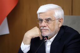 تاسف عارف درباره شبهات و اشکالات فراوان مکانیسم ماشه