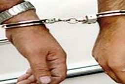 بازداشت سارق اقتصاددان که همه فن حریف بود!