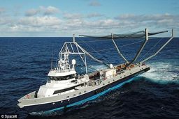 تلاش اسپیس ایکس برای گرفتن کلاهک 6 میلیون دلاری دوباره نافرجام ماند+تصاویر