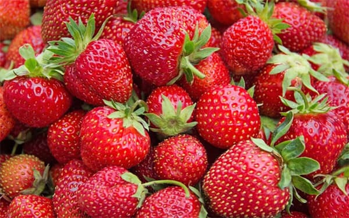 خواص منحصر به فرد توت فرنگی برای سلامتی