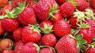 خواص منحصر به فرد توت فرنگی برای سلامتی