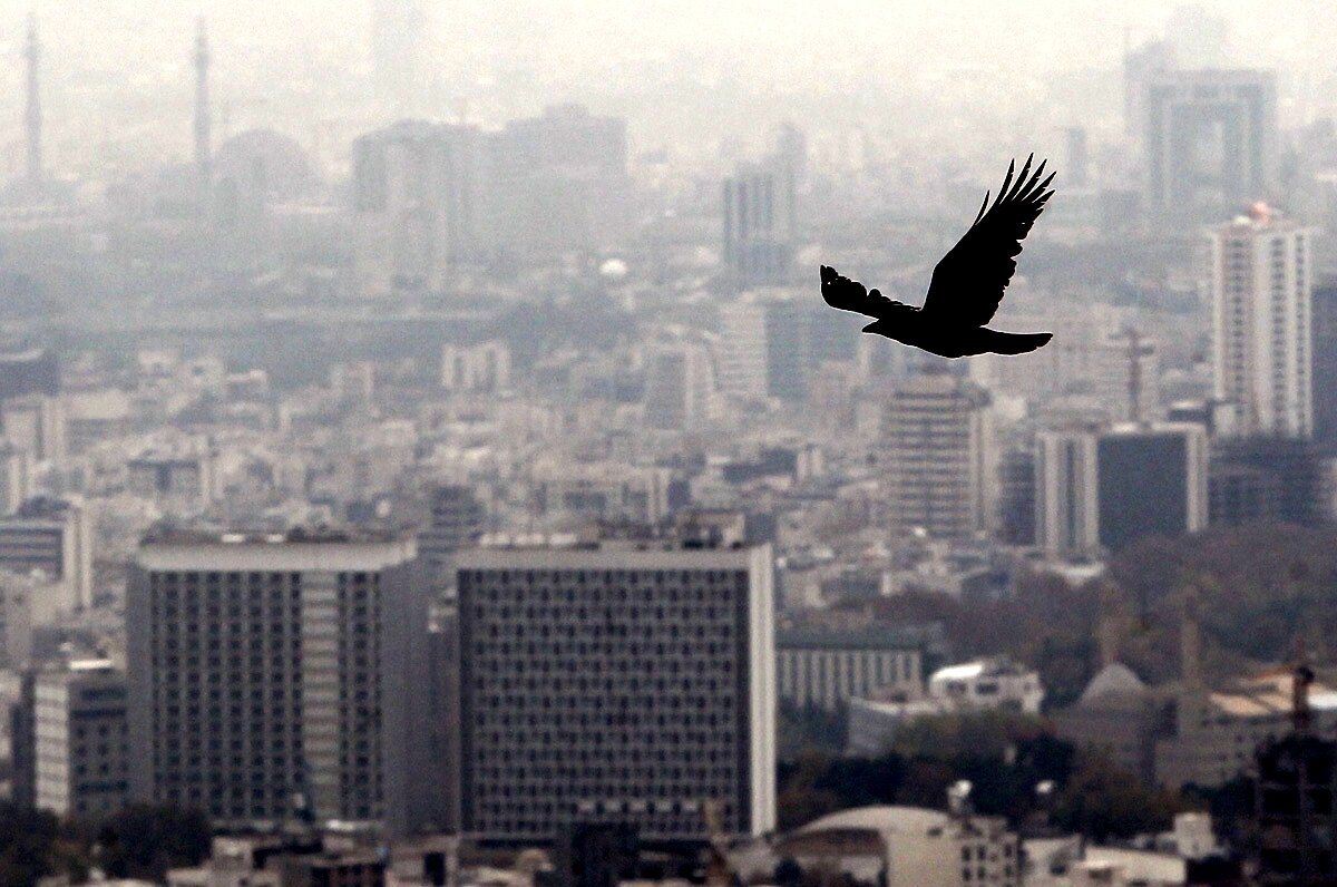 تاثیر الودگی هوا برتشدید مرگ در اثر کرونا 