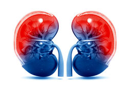 بهترین درمان‌های خانگی برای سنگ کلیه