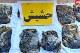 رسوایی مرد قزوینی در عوارضی جاده / پلیس فاش کرد