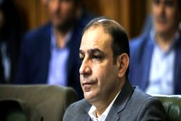 انتقاد تند نماینده شورا به شهردار؛حناچی جسارت حرف زدن ندارد
