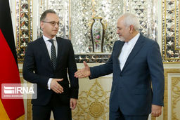 گزارش تصویری/ دیدار ظریف و هاس