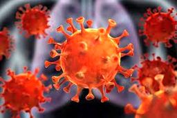 تولید دارویی که در برابر گونه‌های مختلف کرونا موثر است