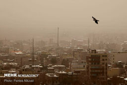 مدارس و دانشگاه های ۸ شهر خوزستان در نوبت عصر تعطیل شد