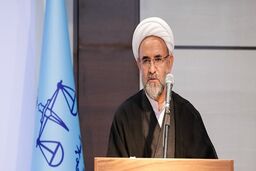 رئیس دیوان عدالت اداری: اگر موانع قانونی مرتفع گردد، دولت می‌تواند از لطیفی استفاده کند