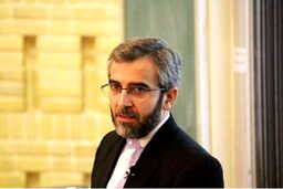 تشکیل کمیته رسیدگی به پرونده شهید فخری زاده 