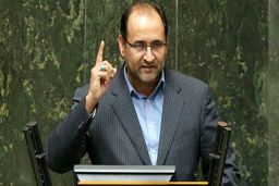 نماینده مجلس: افسار این وحشی را چه کسی رها کرده؟