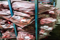 تصاویر | کشف 23 تن سوسیس و کالباس فاسد 