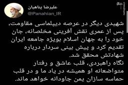 تمجید پناهیان از نقش‌آفرینی مخلصانه شهید ایرلو