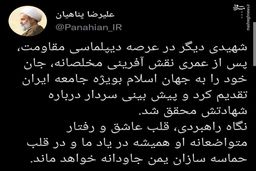 تمجید پناهیان از نقش‌آفرینی مخلصانه شهید ایرلو