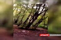 شرح زندگی علامه حسن زاده آملی در بیان آیت الله جوادی آملی
