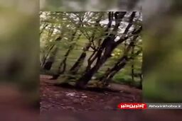 شرح زندگی علامه حسن زاده آملی در بیان آیت الله جوادی آملی