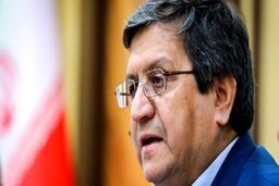 هنتی: خارج از چارچوب  FATF عمل می کنیم