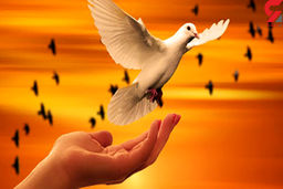 آزادی 19 زن زندانی در همدان / زندان جای مادران نیست