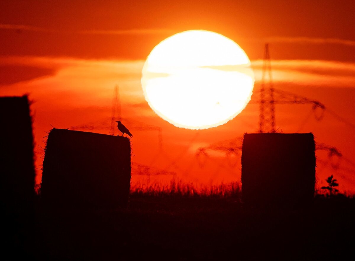 هشدار هواشناسی | کاهش کیفیت هوا در نوار غربی و بخش‌هایی از نواحی مرکزی 