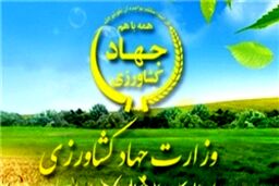 رونق صادرات محصولات کشاورزی در گروی اصلاح ساختاری وزارت جهادکشاورزی