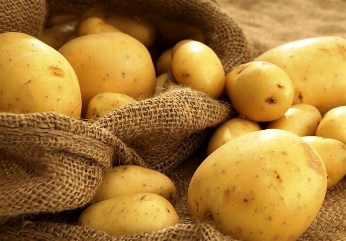 یک خبر خوب: سیبزمینی ارزان میشود