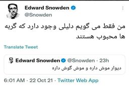 کدخوانی از موش و گربه بازی‌‌های «اسنودن»