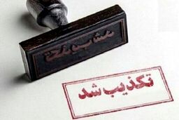 تکذیب ادعای خرید پورشه توسط محمد شریعتمداری برای نوه اش
