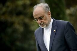 سمت جدید علی‌اکبر صالحی مشخص شد