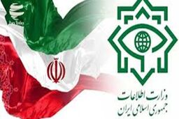 وزارت اطلاعات: دستگیری اعضای اصلی یک باند سازمان یافته